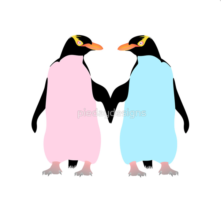 penguins, colored birds, hoiho, yellow eyed penguin, holding hands, friends, blue penguin, pink penguin, love birds, new zealand native bird, new zealand native birds, romance, love, penguin, endangered species, stylised birds